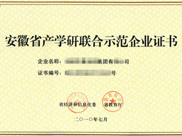 安徽省產(chǎn)學研聯(lián)合示范企業(yè)